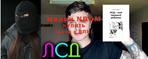 твердый Алзамай