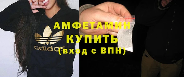 мет Алексин