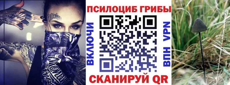 Псилоцибиновые грибы GOLDEN TEACHER  Светлоград 