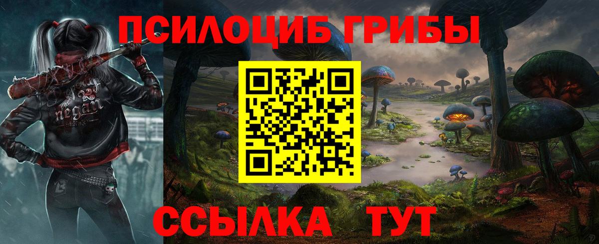Псилоцибиновые грибы Psilocybine cubensis Светлоград