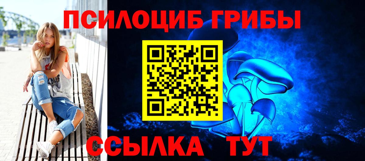 Светлоград  дарнет шоп  Вход с VPN  Псилоцибиновые грибы Magic Shrooms  Псилоцибиновые грибы Psilocybe 